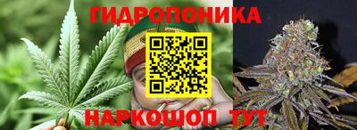 дурь Волжский