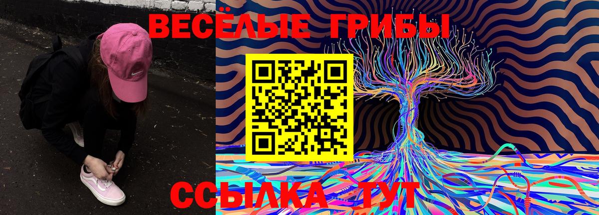 как найти наркотики  Галлюциногенные грибы мухоморы  Вход с VPN  Нефтекумск 